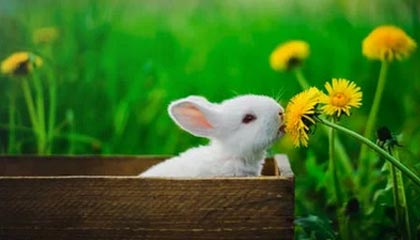 世界杯直播软件官网-声音丨有多少爱可以重来